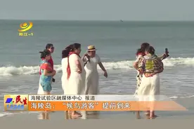 海陵岛：“候鸟游客”提前到来图片