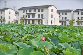 奋进强国路 阔步新征程丨常州经开：全面深化改革激发社会活力，高质量发展动能再突破图片