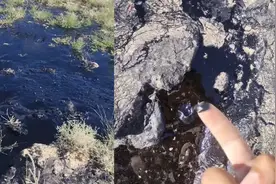 男子阿勒泰旅游错把沥青当石油 两者有何区别？丨科技圆桌派图片