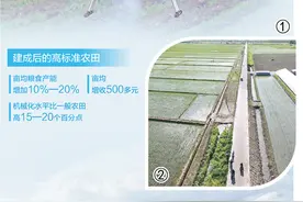 算算高标准农田“三本账”图片