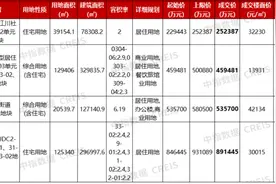 上海2023年土拍收官战：4宗地揽金约214亿元，全年卖地收入2200亿元图片