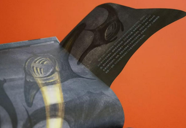 与其畏惧黑暗，不如深潜其中探奇