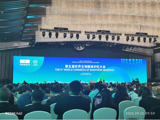 从长江故道到世界舞台：一群江豚如何成为国际明星？