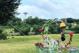 徐闻湾仔园村：花果飘香引客来图片