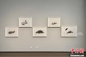 中日版画艺术家同台对话 近年新作首次在国内展出图片