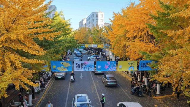 太出片了！昆明文林街变身浪漫银杏大道
