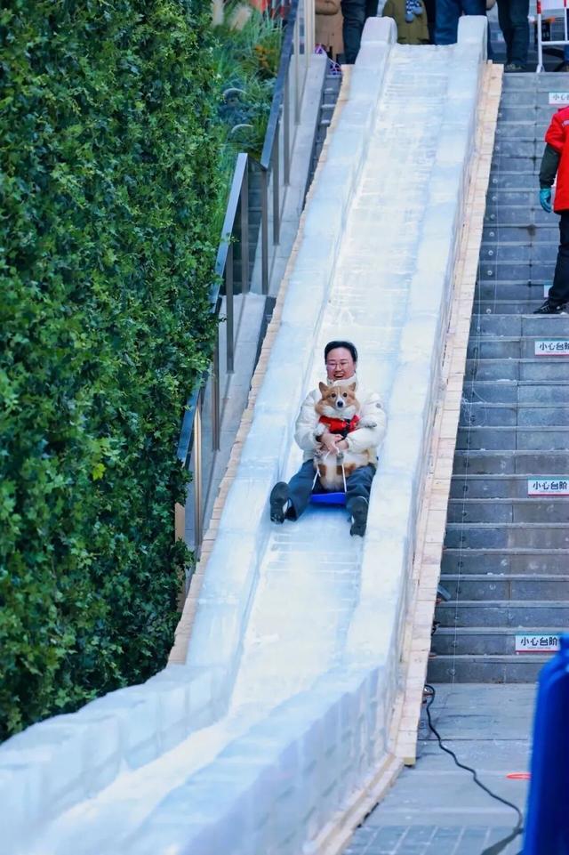 走，这个周末，一起在北京滑滑梯！