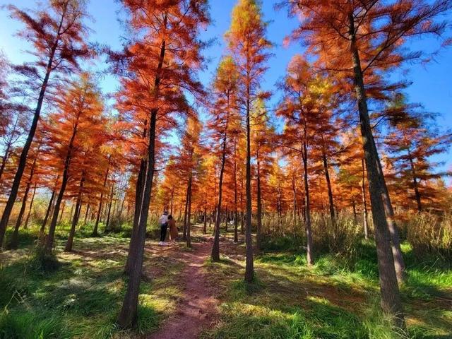 【冬季暖阳 凉山不凉】为什么冬天一定要去凉山？