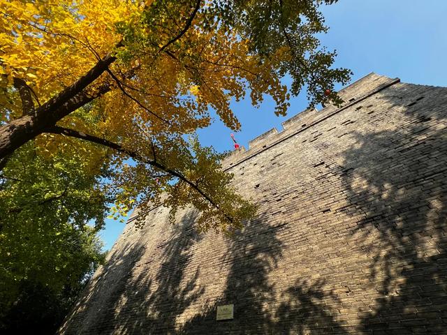 起猛了!西安地标集体变身?