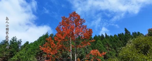 现在的黔南，已经美成这样了→