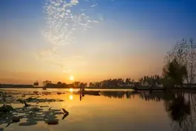 建设修复保护！济宁微山打造湿地保水新模式，保一湖清水永续北上图片