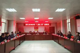 “归雁”领航促振兴图片