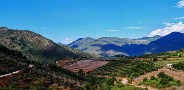 腊勐暖冬邀请函：这个冬天，赴龙陵之约