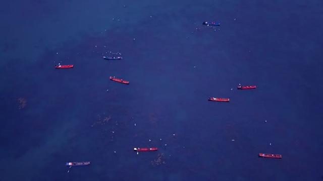 泸沽湖冬日限定浪漫：乘猪槽船，赴一场红嘴鸥之约