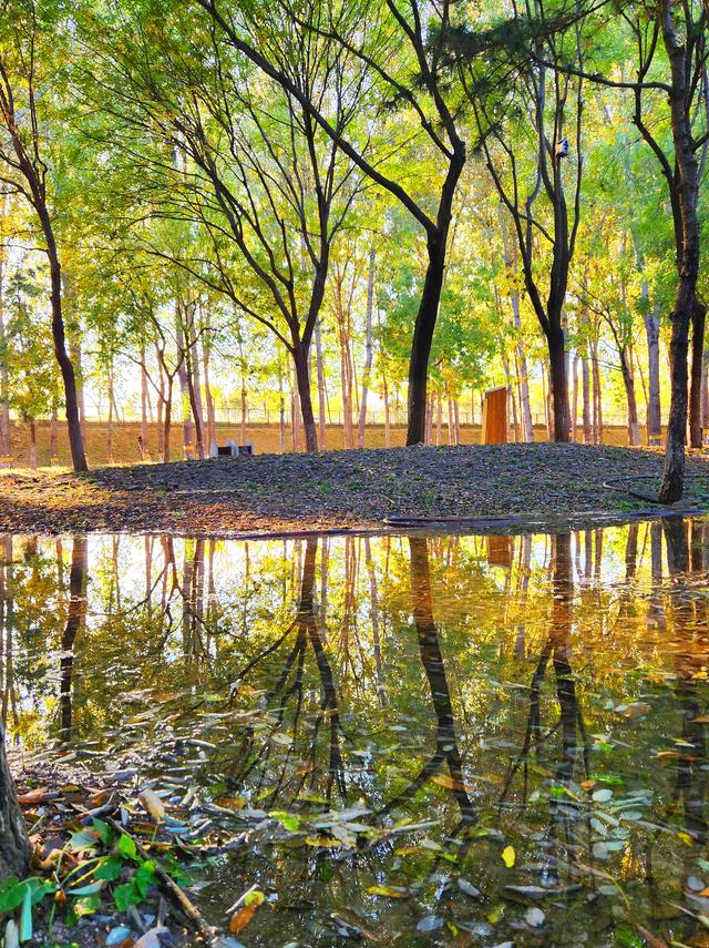 今日北京晴朗微风，有空走走，赏秋正当时