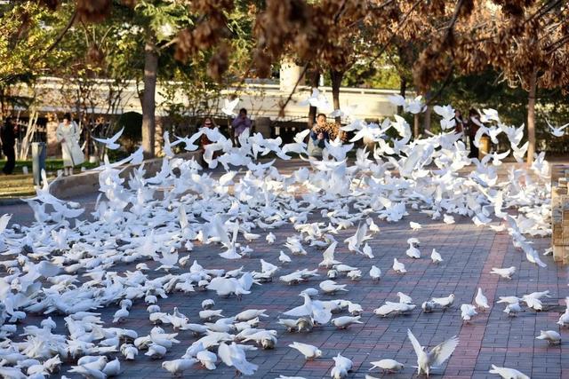 别再问周末去哪了！郑州这些宝藏公园不可错过→