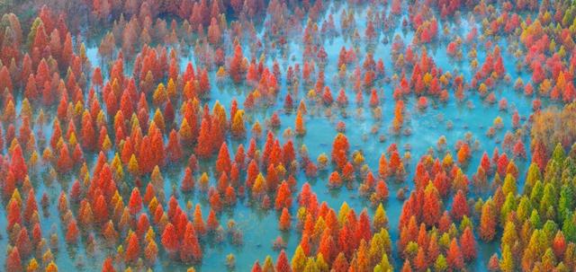 美成画了！许你一个五彩斑斓的冬天——有一种叫云南的生活之365天