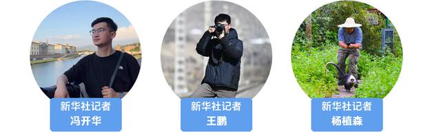 我在现场·照片背后的故事｜2160分钟，揭开西夏陵尘封千年的神秘面纱
