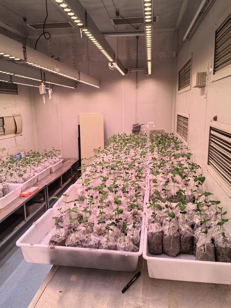 科技创新十四五·走进实验室|黄土高原水土流失治理背后有哪些“硬核科技”