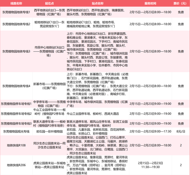 马上出发！东莞春节这批公交“文旅专线”，带大家直达商圈景点