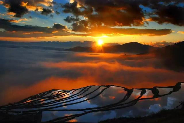 云新闻・滇地宝藏⑩丨吃不完根本吃不完，滨江花果城确定不来吗？