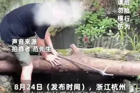杭州动物园一男子跳下鳄鱼池捡手机差点被咬？橙柿求证：实为工作人员帮游客打捞手机图片