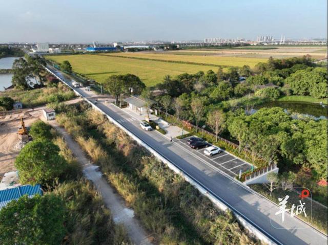广州已建成碧道1456公里，绿意蓝调间畅享清凉夏日