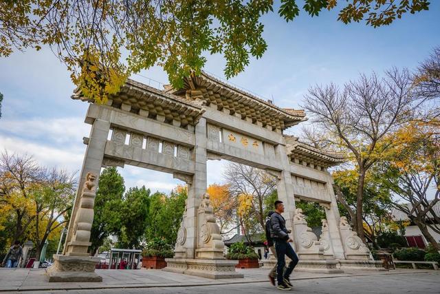 泉城相守，岁月情长 | 我在济南刚刚好