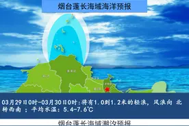 早安 烟台|芝罘区35所中小学运动场地向市民开放（附名单）图片