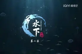 北京大视听丨《水下中国（第二季）》：敬畏生命，寻找与自然的共鸣图片