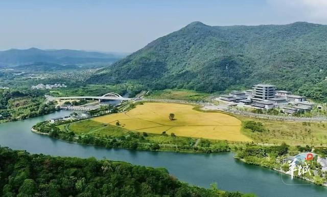 新版“羊城八景”以景点组合形式出道，广州千年城脉澎湃文旅发展新动能