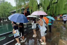 趵突泉畔雨中赏泉 仿佛置身画境 | 一年四季·泉在济南图片