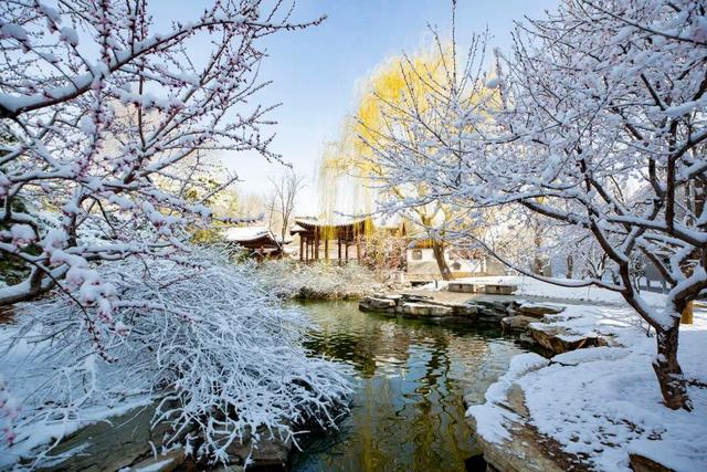 北京全城等雪来！故宫约不上？这些地方随手一拍也是大片——