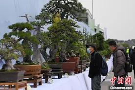2025中国（萧山）花木节在浙江杭州举办 “美丽经济”吸引民众图片