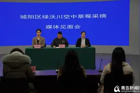 占地100亩总投资8300万元 城阳区绿沃川"空中草莓"项目引发关注图片