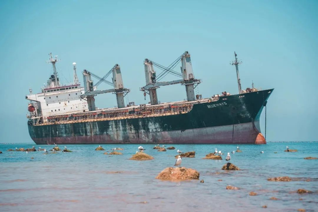 冬天！所有人都该来荣成见一见“永不失约”的布鲁威斯