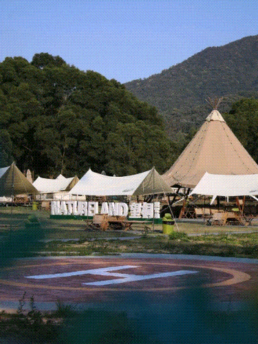 三大世界冠军助阵！直击2025梧桐山登高赛！