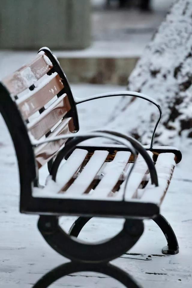 京城初雪！一大波雪景美图来了