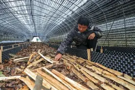 新路、新球场……毕节这些地方变了图片