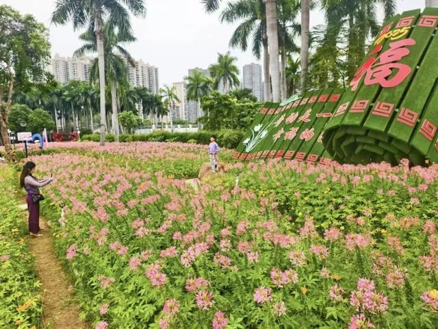 南宁秋日赏花攻略，带你一键解锁这份限定版的秋花图鉴！