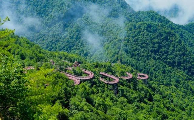 康县青龙山云道斩获法国设计金奖