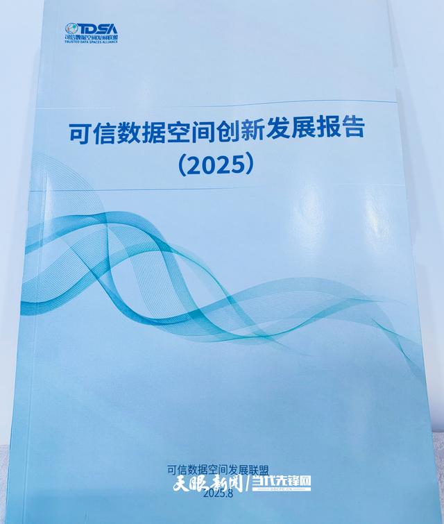 2025数博会丨长三角国创中心首秀数博会 多项科创成果助力产业智能化升级