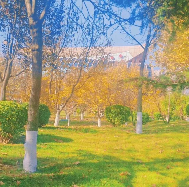 曲沃的冬天不可辜负