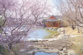 社教｜从《诗经》到金庸，园林桃花的诗意千年之旅图片