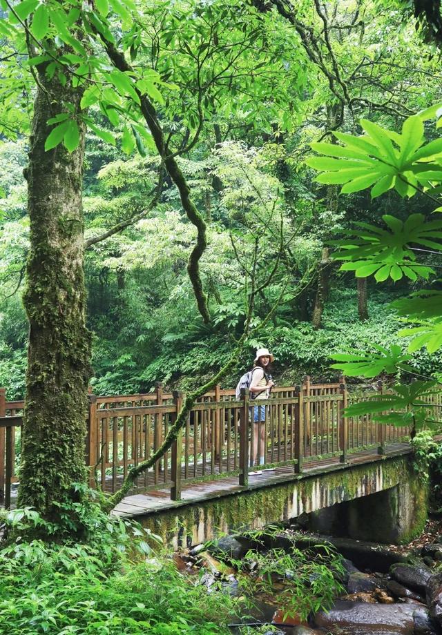 速速出发！邂逅瓦屋山【元气女团】的小姐姐们，一起清凉徒步！