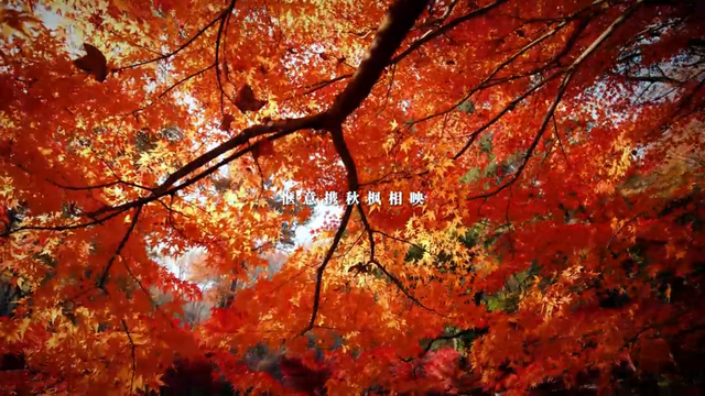 沿着一号公路自驾，邂逅山西秋韵“天花板”！