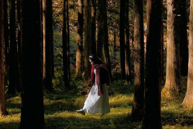 醴陵出发1日游天花板！秋景温泉全搞定！