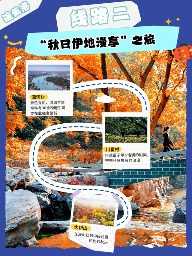 赶海、赏菊、品蟹……这10条乡村旅游线路玩出不一样的“秋”