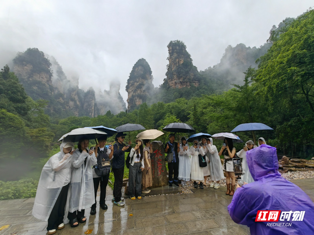 20名重庆网络达人打卡张家界国家森林公园