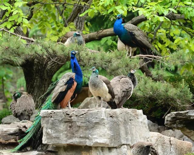 从云端到山野，济南这两地入选省级案例！你打卡过吗？